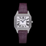 Cartier Santos 100 Diamond Silver Bezel CTR6065