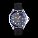 Omega Seamaster Watch OMG6428