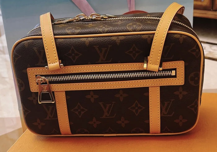 Louis Vuitton rectangular Cite bag M46321 review image #1